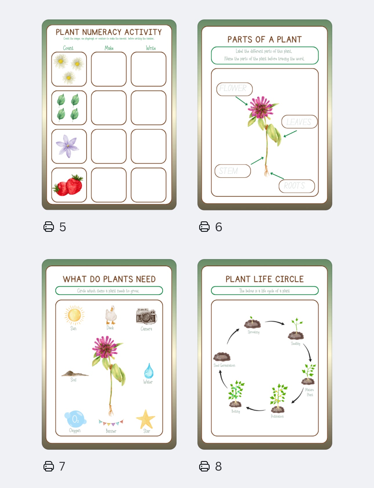 🌱✨ Plant Observation Workbook – Digital Download ✨🌸