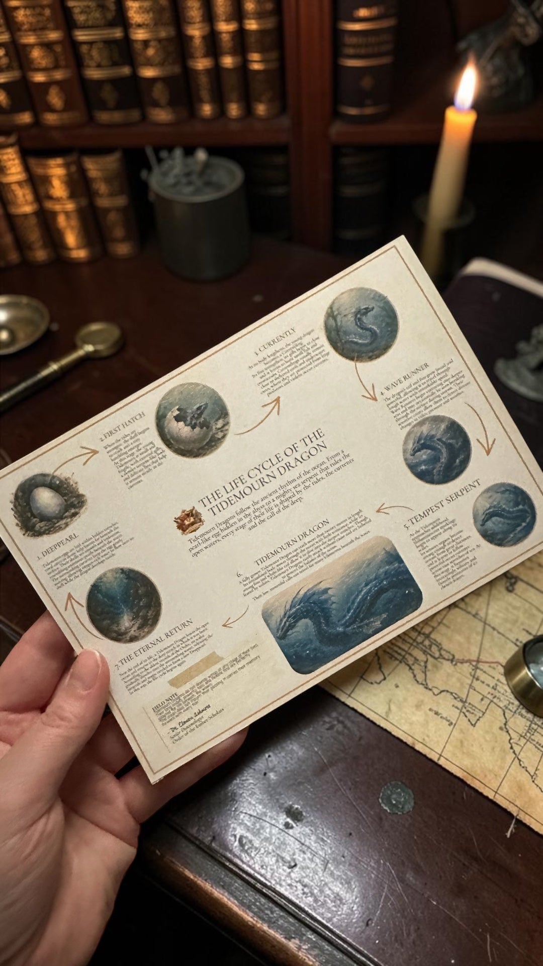 Order of the Ember Scholars — Dragon Field Kit