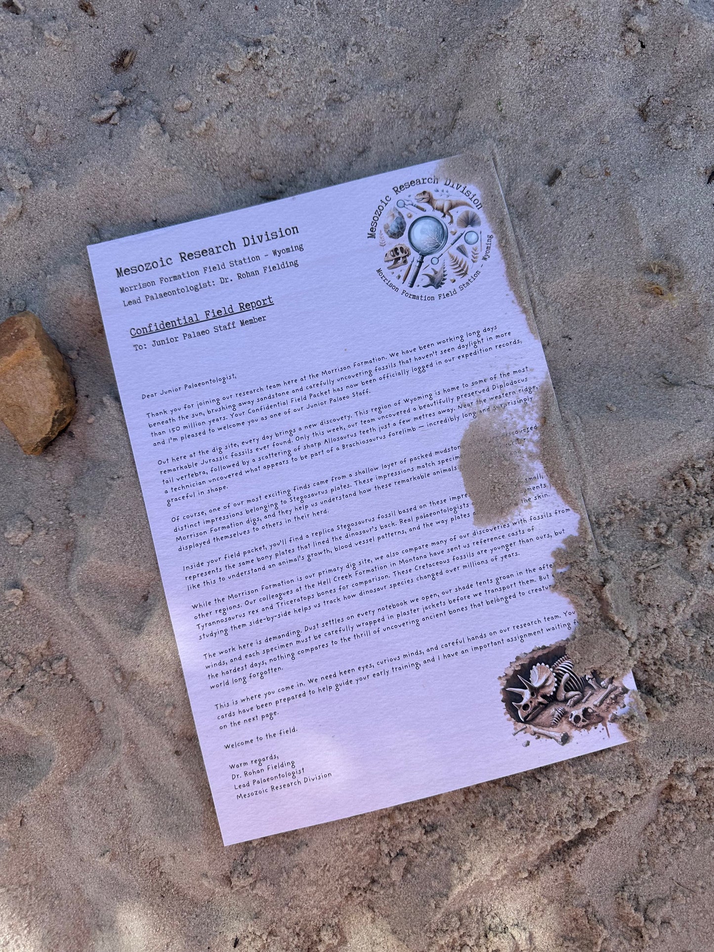 Junior Palaeontologist Field Packet – Dinosaur Letter Bundle