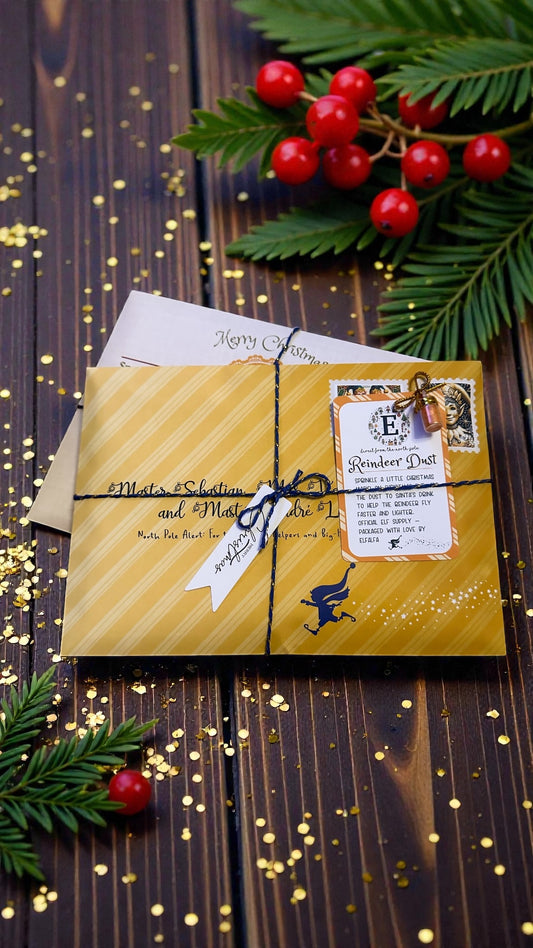 🎄✨ Retro Elf Bundle ✨🎄