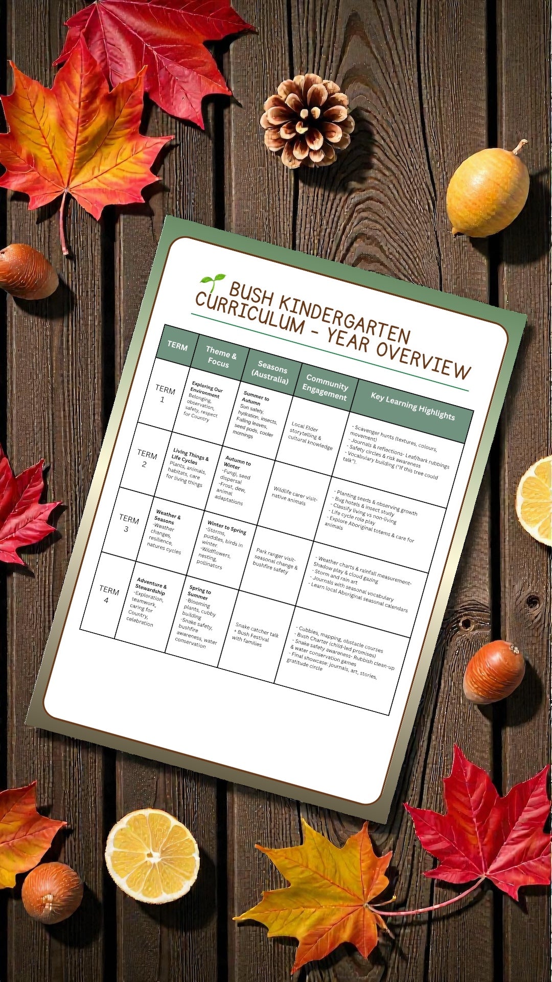 🌿 Bush Kindergarten Program Pack