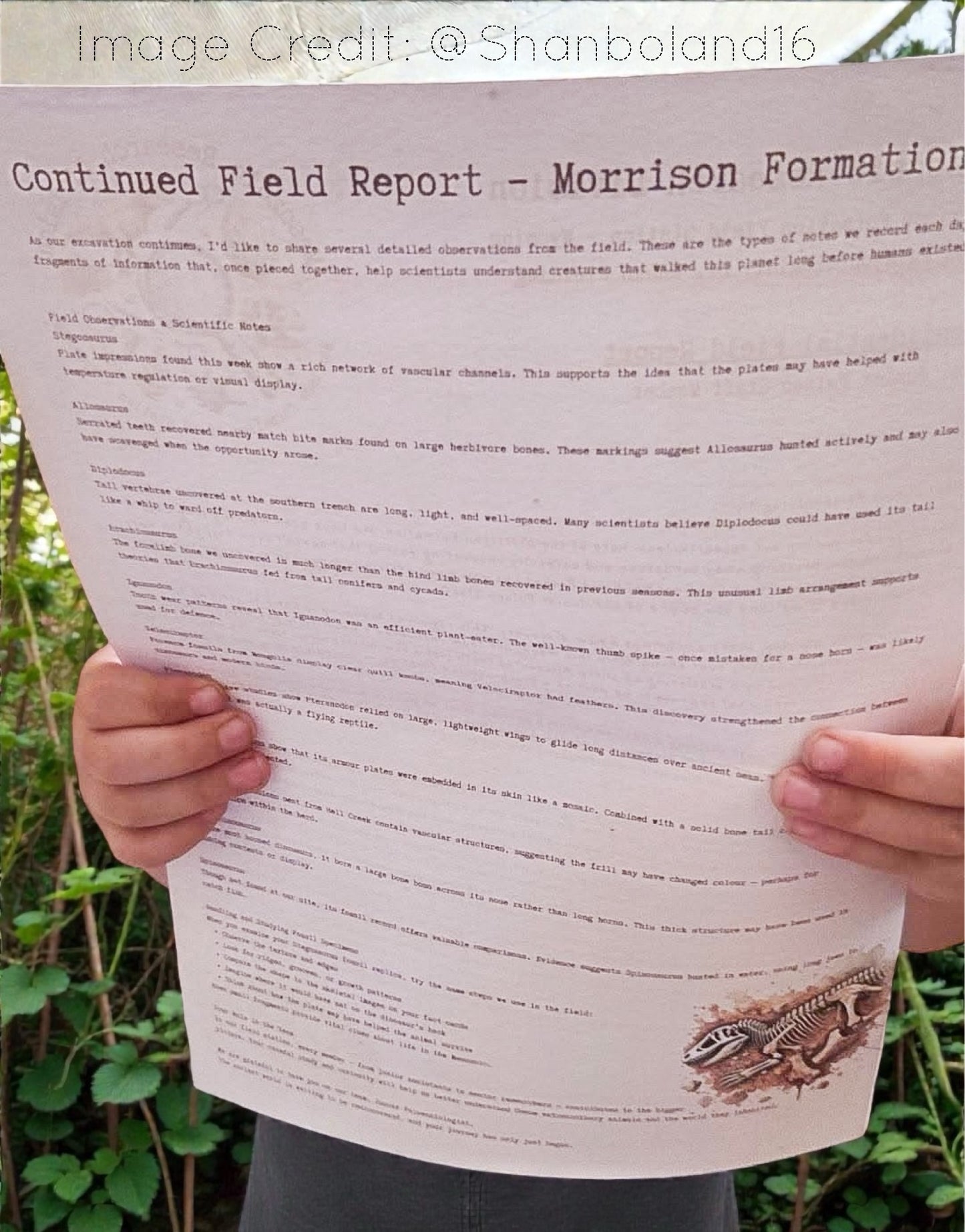 Junior Palaeontologist Field Packet – Dinosaur Letter Bundle