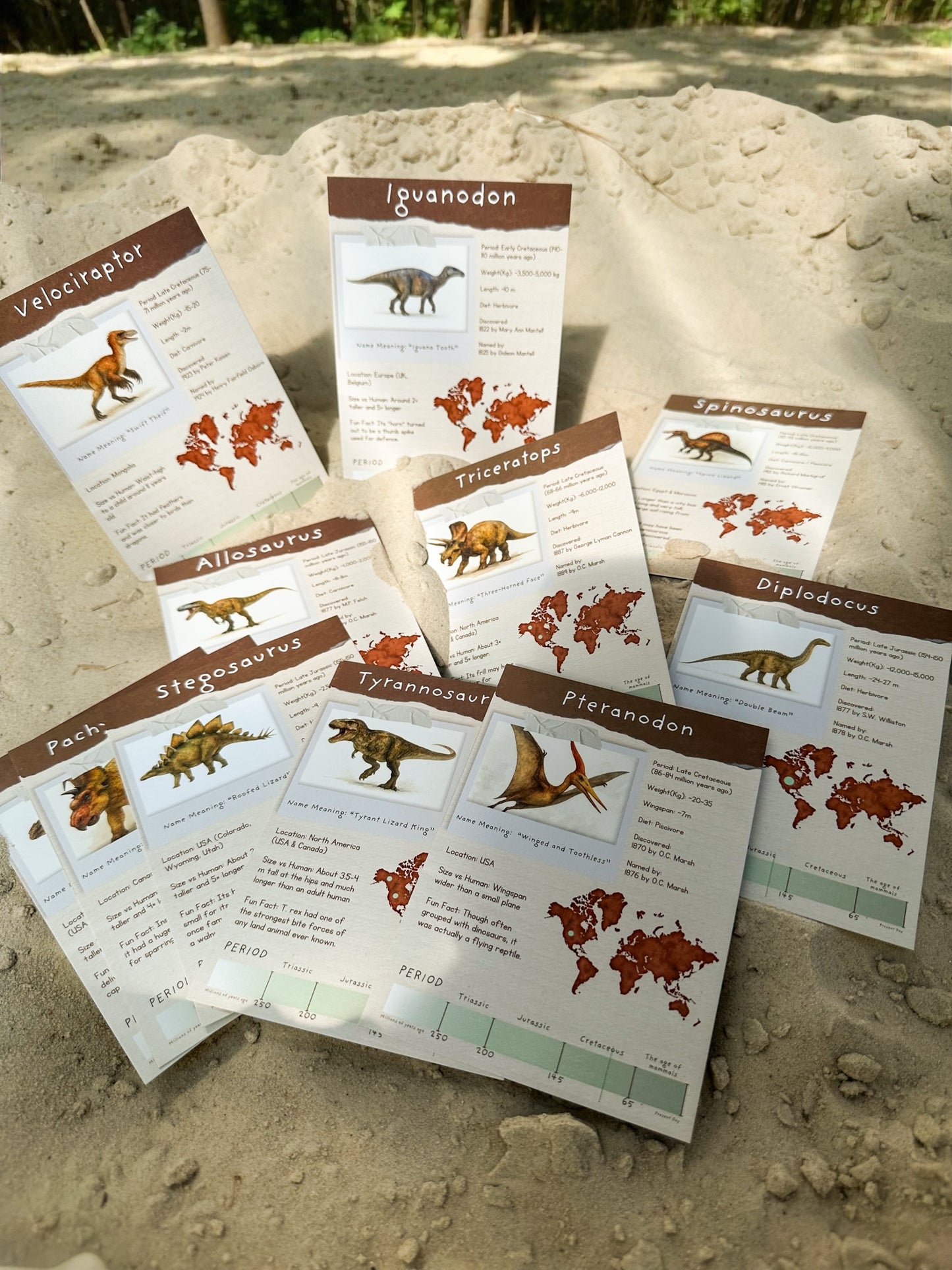 Junior Palaeontologist Field Packet – Dinosaur Letter Bundle