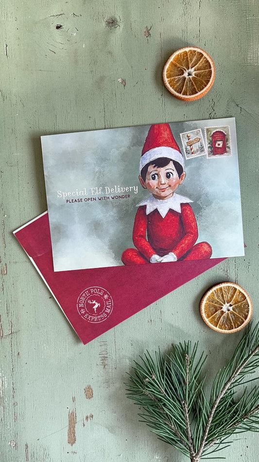 🎄✨ Red Elf Bundle ✨🎄-PREORDER