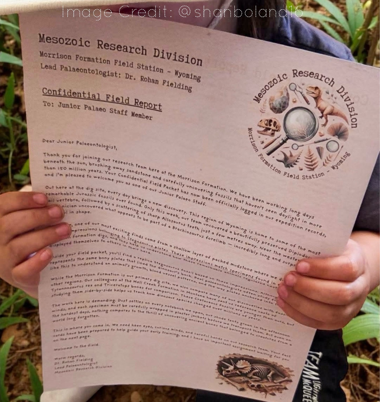 Junior Palaeontologist Field Packet – Dinosaur Letter Bundle
