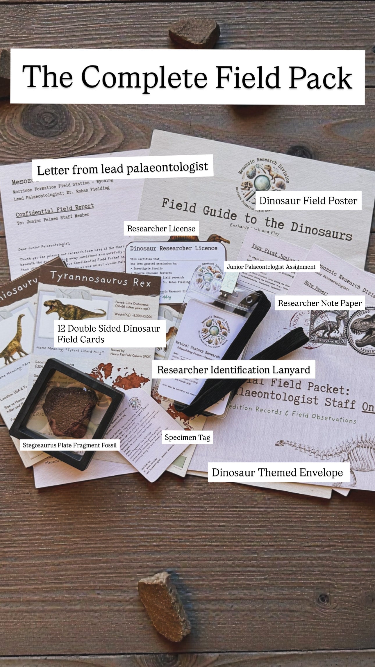 Junior Palaeontologist Field Packet – Dinosaur Letter Bundle