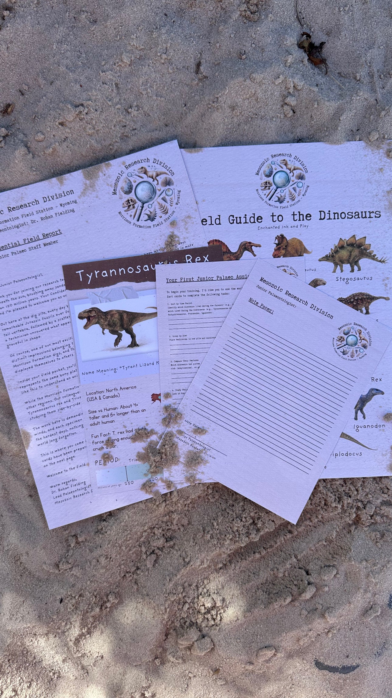 Junior Palaeontologist Field Packet – Dinosaur Letter Bundle