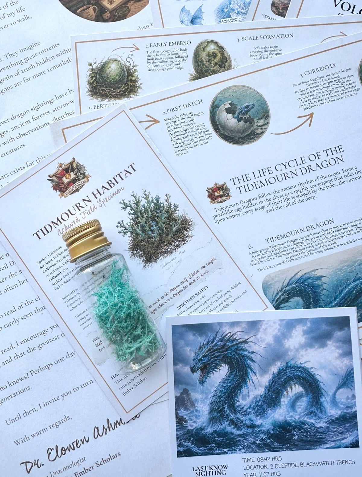 Order of the Ember Scholars — Dragon Field Kit