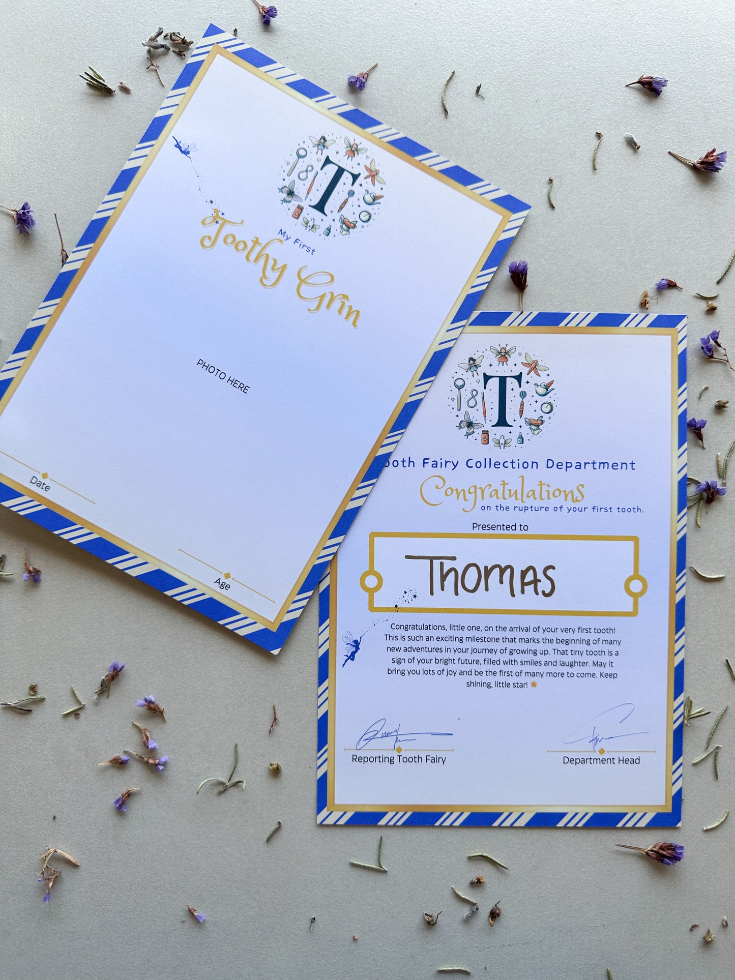 🧚‍♀️✨ Tooth Fairy – First Lost Tooth Bundle ✨🦷