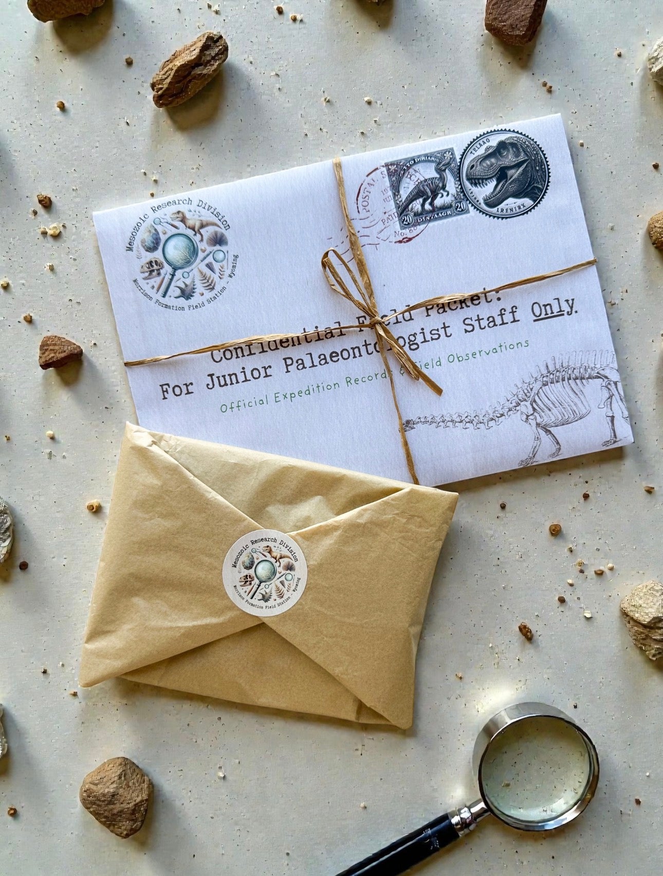 Junior Palaeontologist Field Packet – Dinosaur Letter Bundle